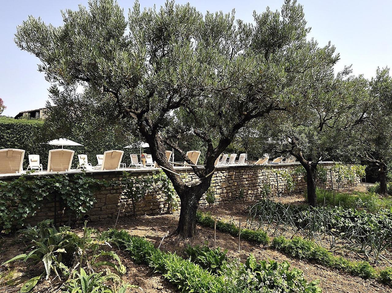 Hotel Carcarille Restaurant Le C Gordes Eksteriør bilde